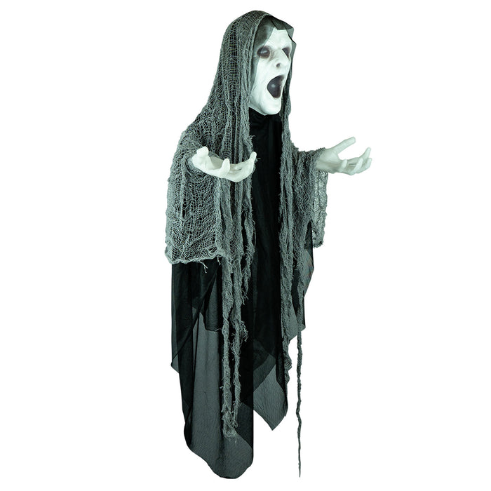 3ft 9in Tall Halloween Animated Hanging Floating Ghost Animatronic, Touch and Sound Activated, Built-in Lights, and Spooky Sound FX