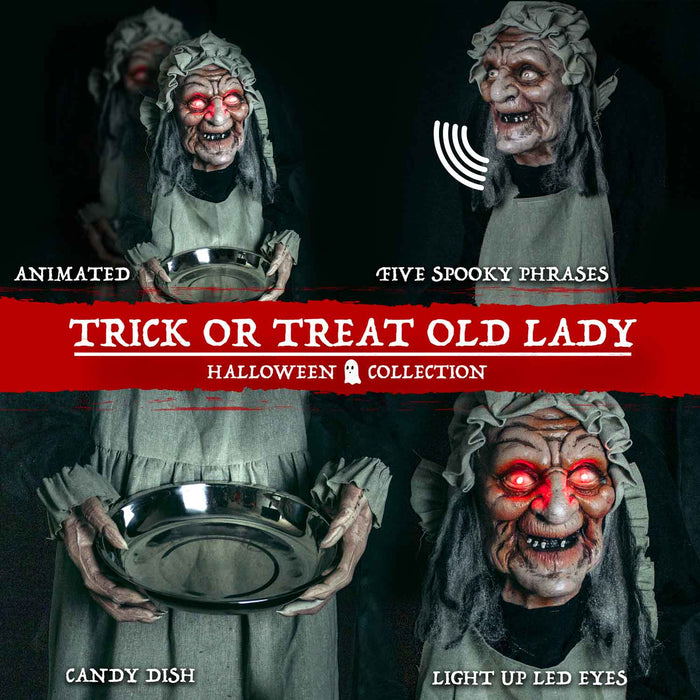 5ft 7in Tall Halloween Animated Creepy Old Lady Animatronic, Touch and Sound Activated, Built-in Lights, and Spooky Sound FX